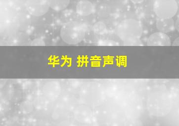 华为 拼音声调